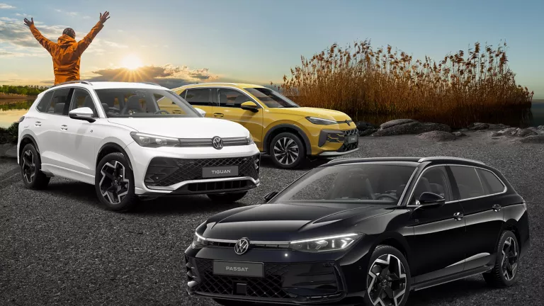 Drei VW Modelle die auf Asphalt stehen, vor Schilf und einem See.