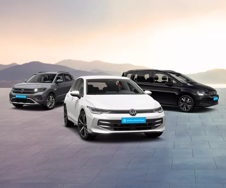 Ein Bild vom Standort des Händlers