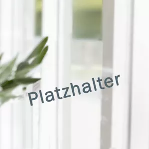 Erik Schwiebert