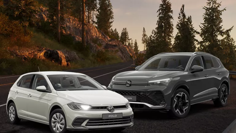 Ein Polo und ein Tiguan R-Line vor herbstlichem Hintergrund