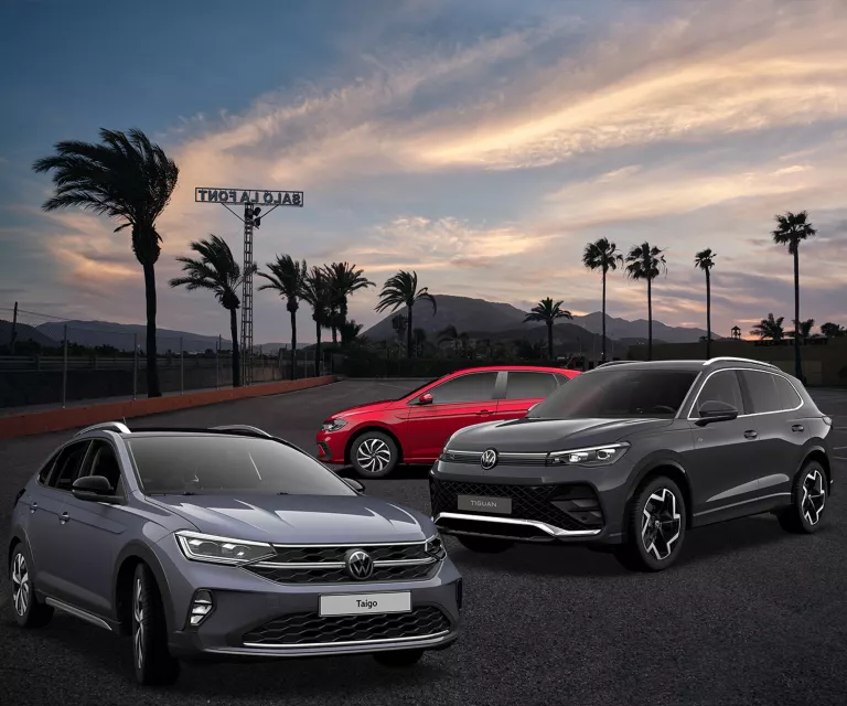 Drei VW-Modelle, genauer gesagt ein Taigo, ein Polo und ein Tiguan die vor Palmen stehen, die sich im Sonnenuntergang im Wind wiegen.