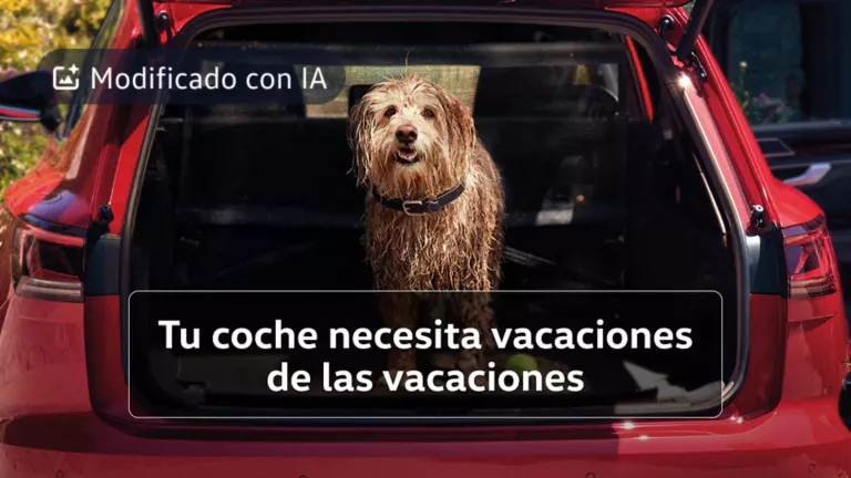 Un perro sucio en el interior de un maletero Volkswagen