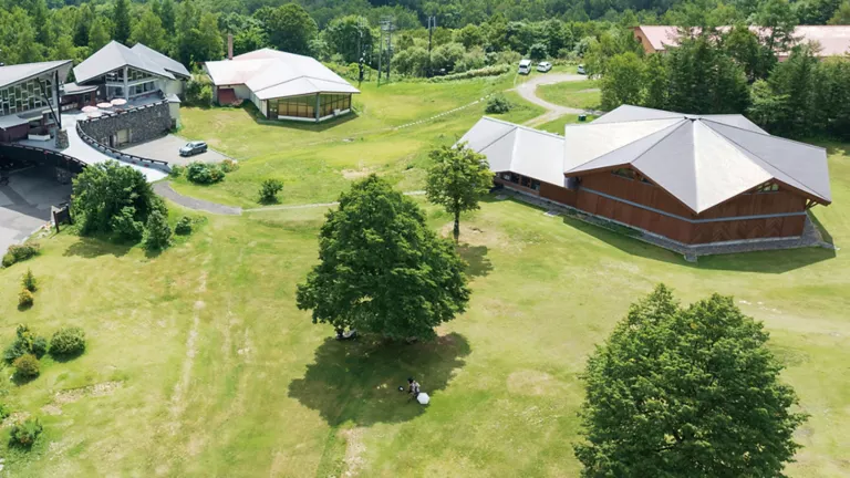 オファーの写真