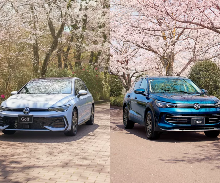 ディーラーの位置写真