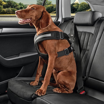 <p>Dog safety belt - XL</p>