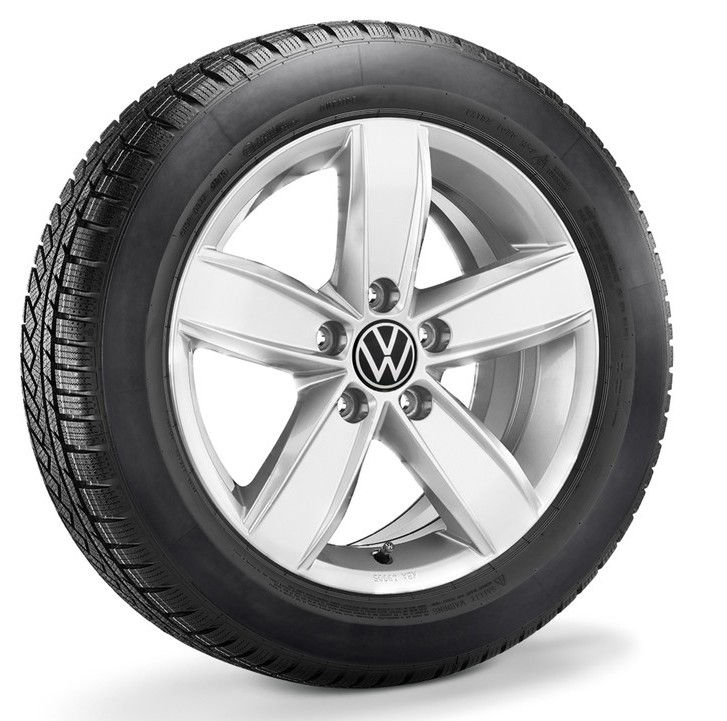 Χειμερινό ζαντολάστιχο