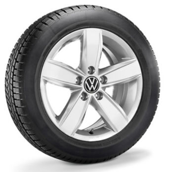 Χειμερινό ζαντολάστιχο