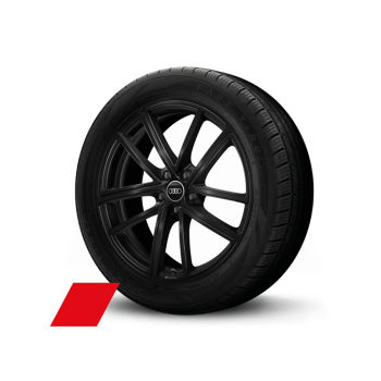Rad Audi Sport, 5-Doppelspeichen
