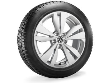 Χειμερινό ζαντολάστιχο