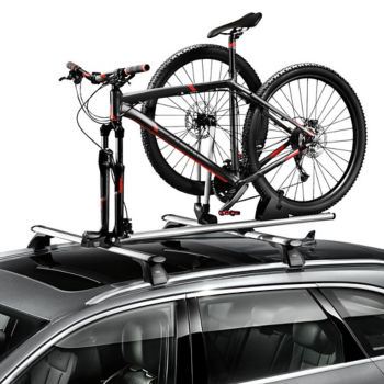 Bicycle fork mount