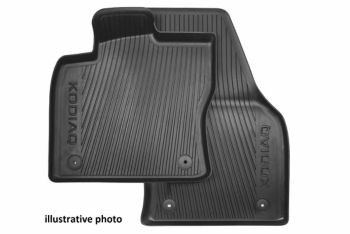 All-weather foot mats – front