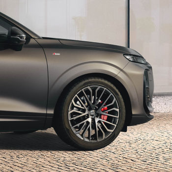 Felge Audi Sport, Vielspeichen-S mit RS-Schriftzug
