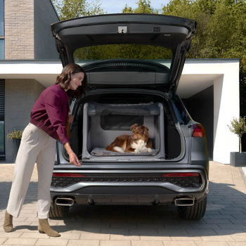 Caisse pour chien gonflable