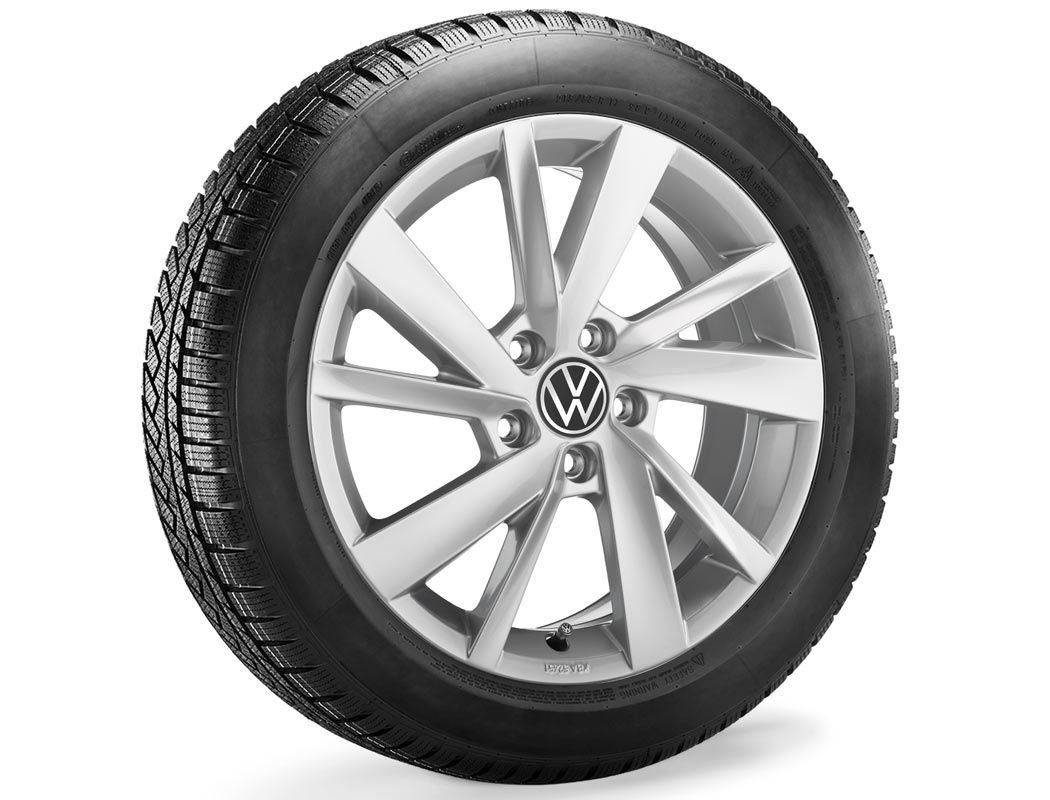 Χειμερινό ζαντολάστιχο