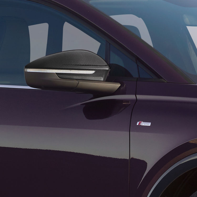 Exterior mirror housing in carbon