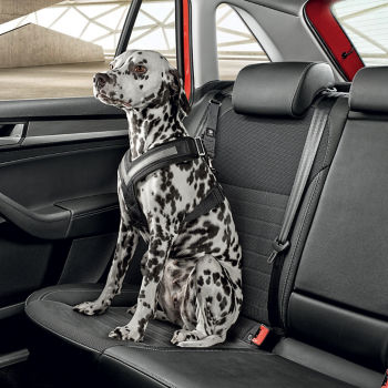Dog safety belt - M