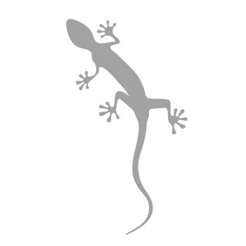 Decal gecko