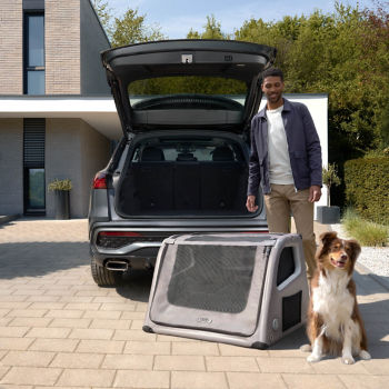 Dog box, inflatable