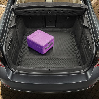Double - sided boot mat