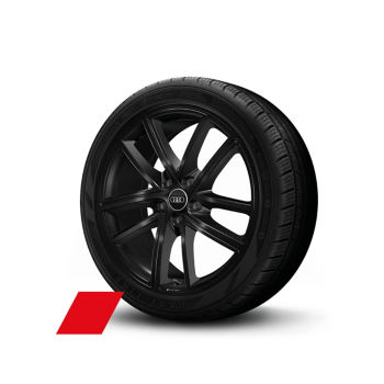 Ruota Audi Sport, a 5 razze doppie