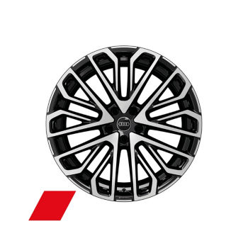 Jante Audi Sport à branches multiples en S