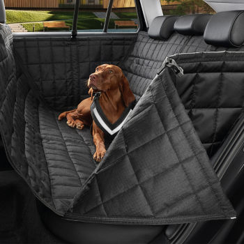 Rear seat protection