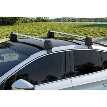 Basic roof rack