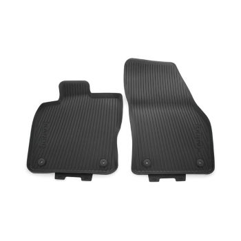 All-weather foot mats – front