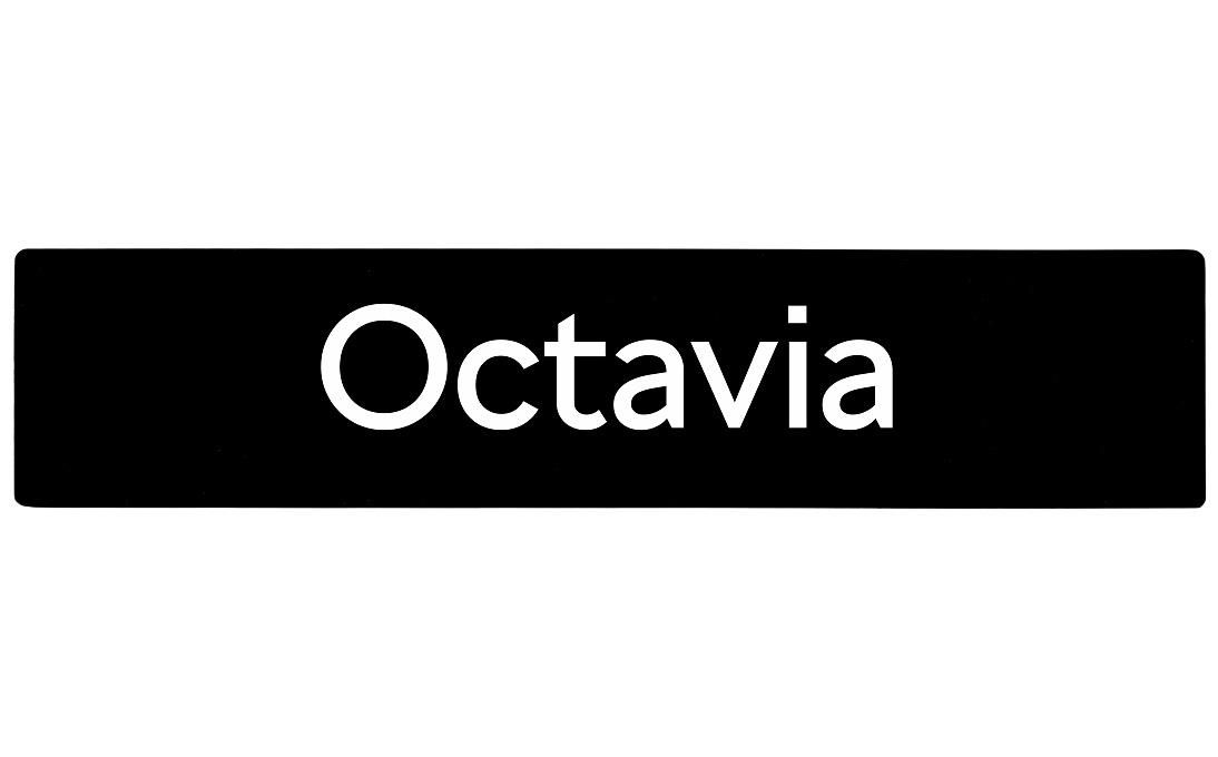Car Plate Octavia