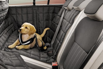 Dog safety belt - S