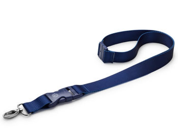 Lanyard