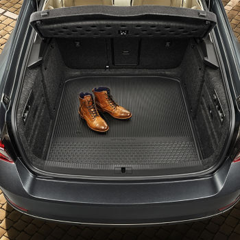 Protective boot tray