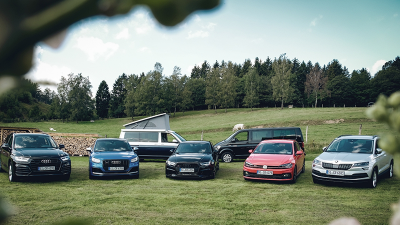 Parkende Volkswagen auf einer grünen Wiese