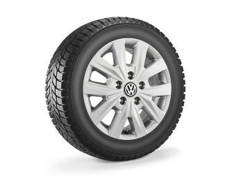 Χειμερινό ζαντολάστιχο