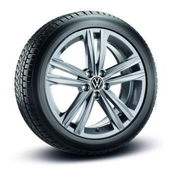 Χειμερινό ζαντολάστιχο