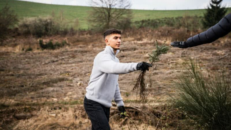 Junger Mann in grauem Pullover übergibt kleine Baumsetzlinge an eine andere Person im Freien auf einem kahlen Feld