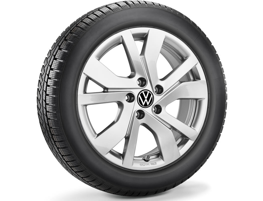 Χειμερινό ζαντολάστιχο