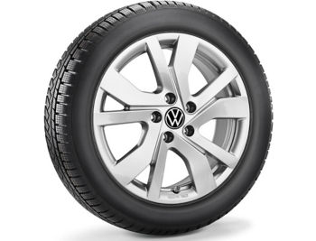 Χειμερινό ζαντολάστιχο