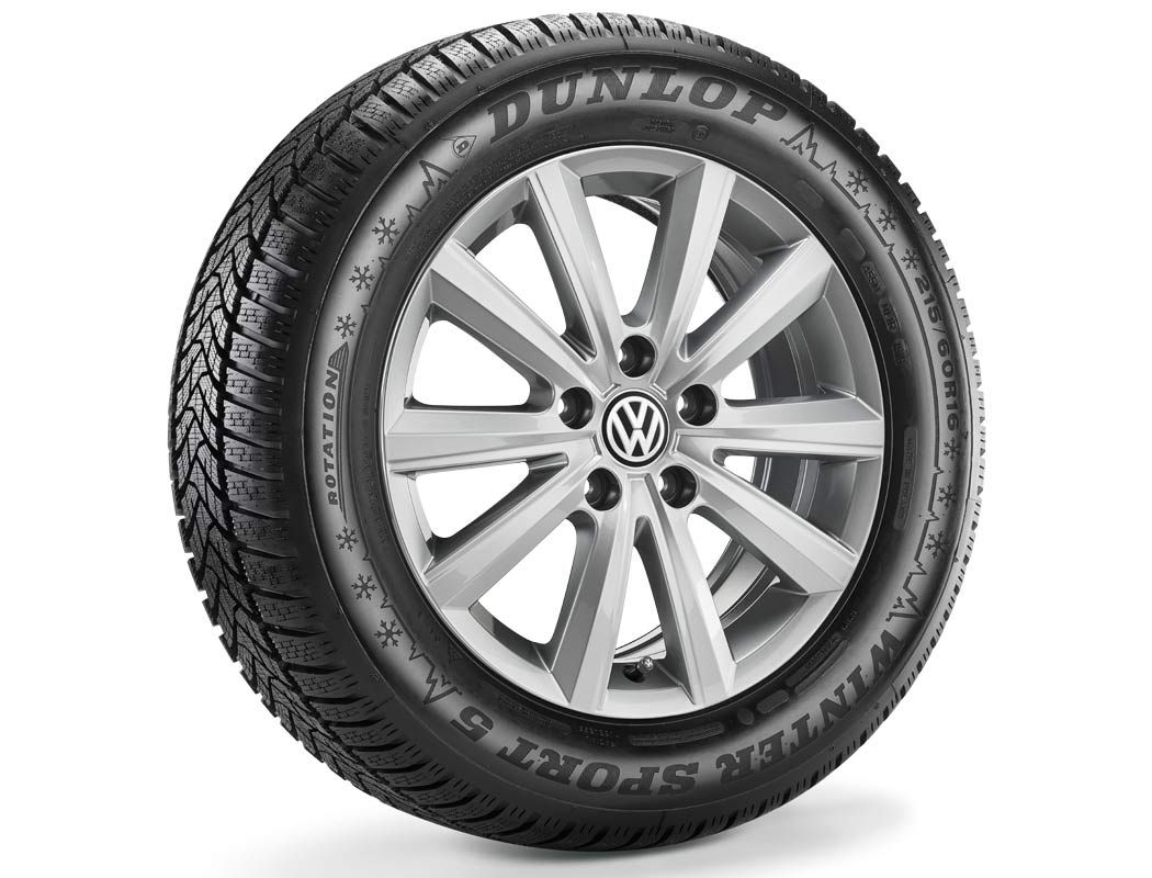 Χειμερινό ζαντολάστιχο