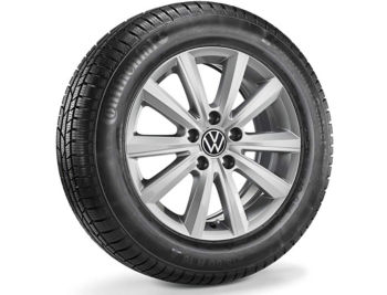 Χειμερινό ζαντολάστιχο