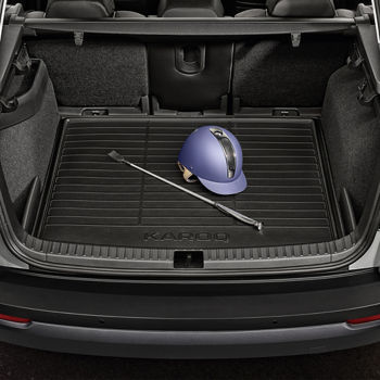 Double-sided boot mat