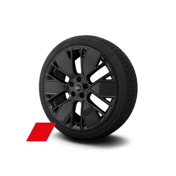 Rad Audi Sport, 6-Arm-Vielspeichen