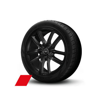 Rad Audi Sport, 5-Doppelspeichen