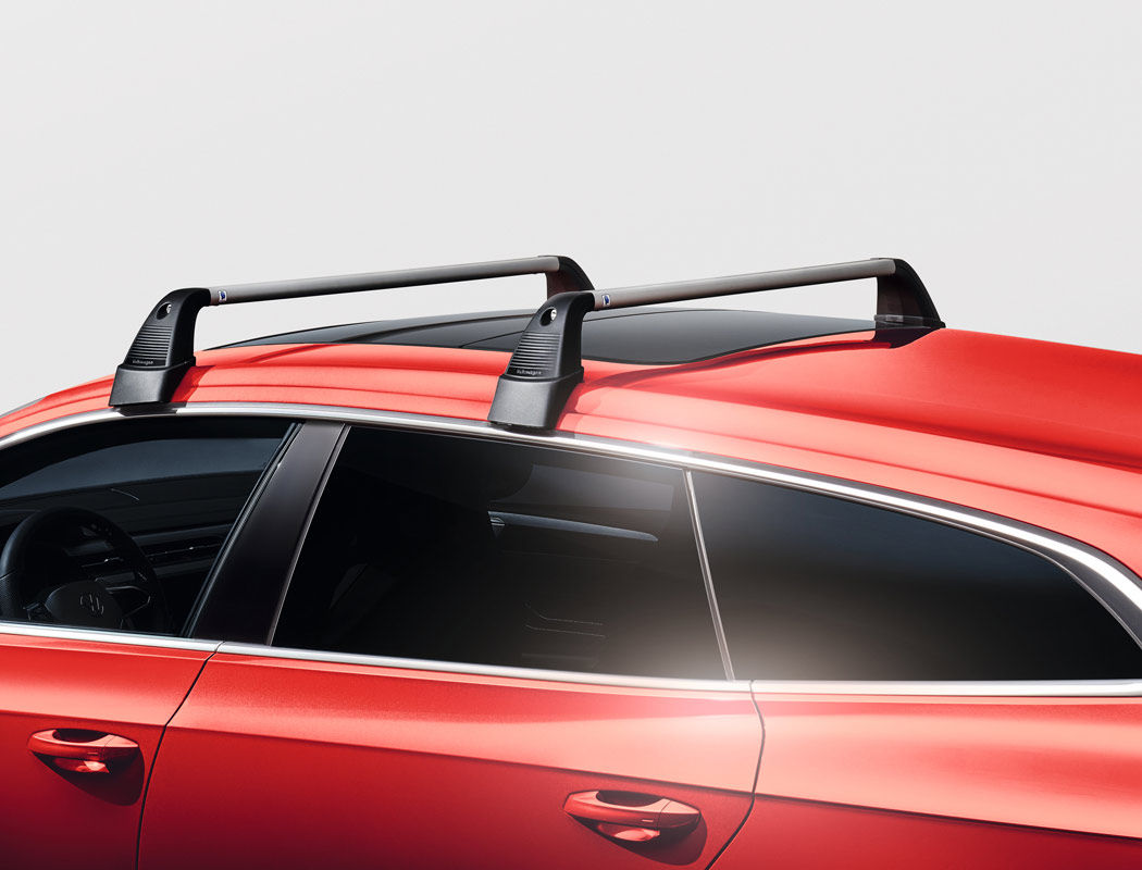 Μπάρες οροφής