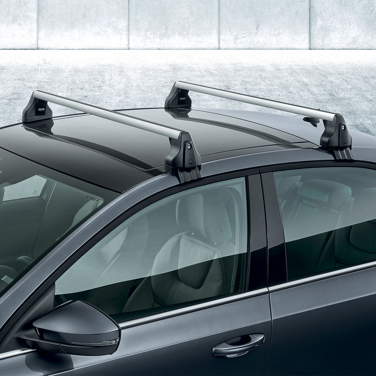 Basic roof rack