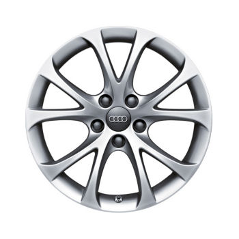 Rim, 5-V-spoke, brilliant silver