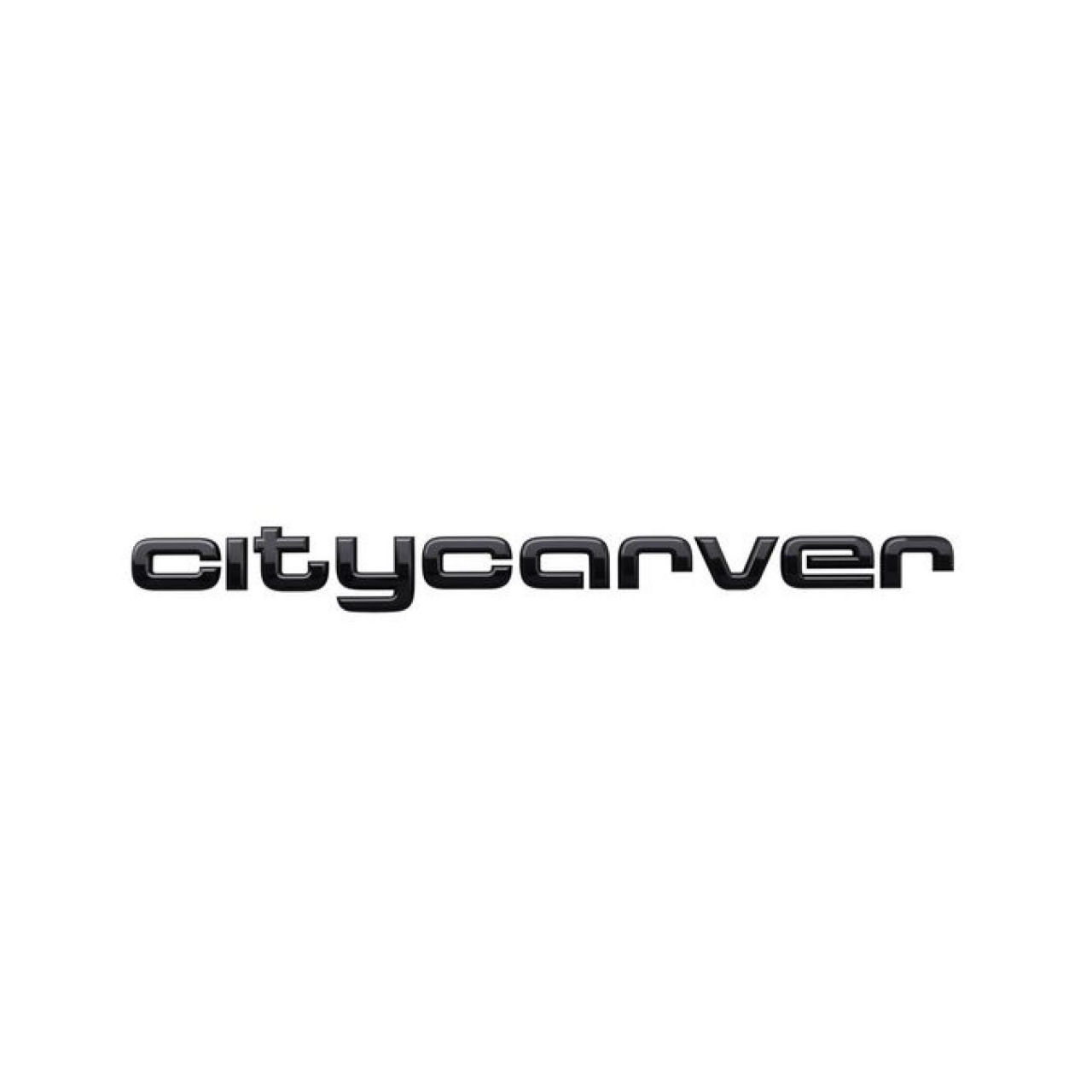 citycarver logo in black