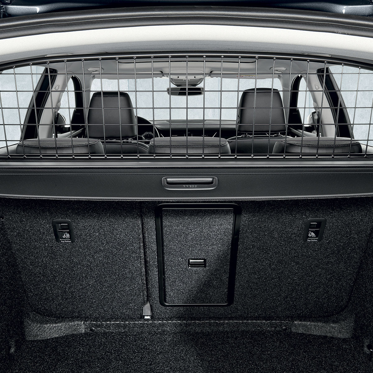 Transverse trunk grille