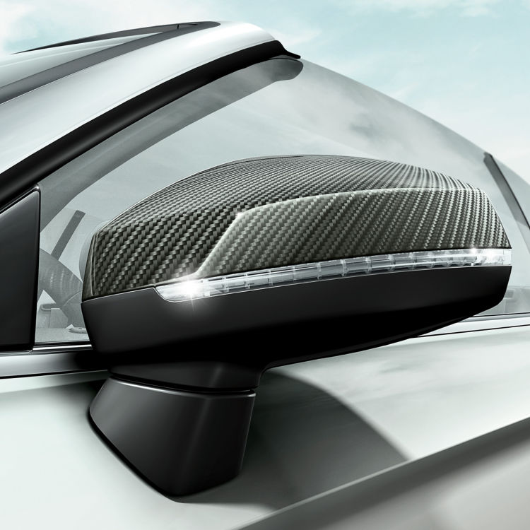 Exterior mirror housings in carbon