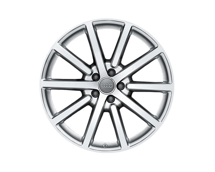 Rim, 10-spoke, brilliant silver